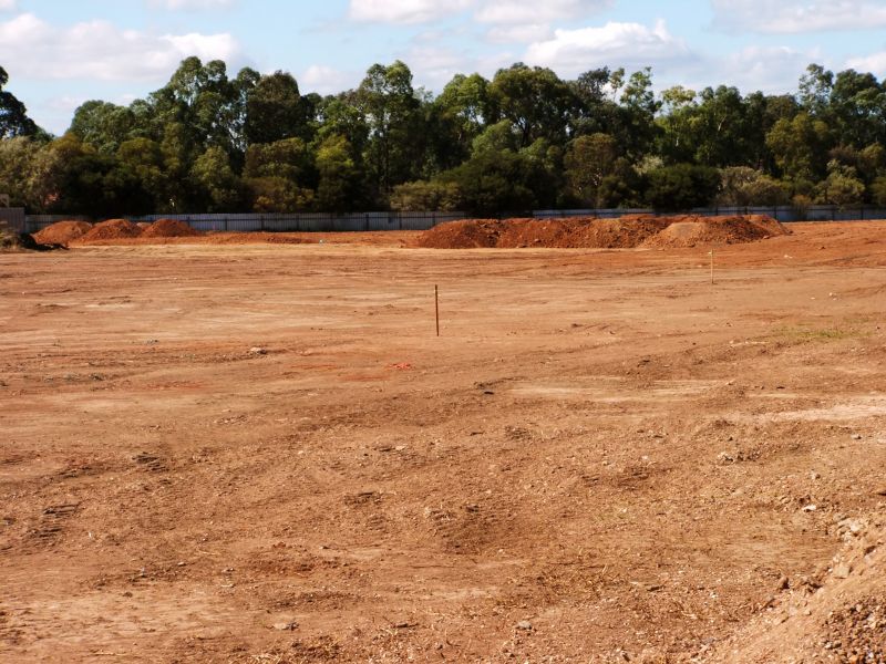 Land Clearing and Grading