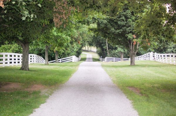 Gravel Road Installation in Hamilton