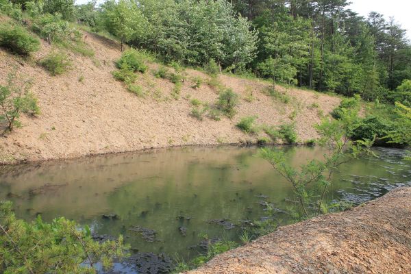 Pond Erosion Repair in Hamilton