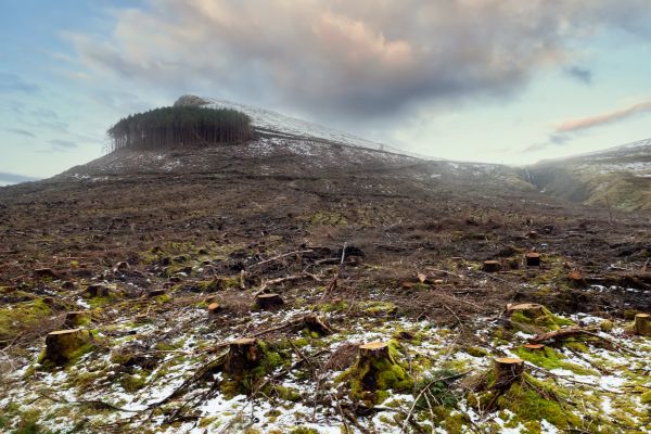 Hill Removal in Hamilton